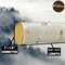 Wilson Decorative White Birch Logs, Natural Bark Wood Home Decor (Set of 12) - 15.5"-17.5" Length 1"-1.5" Dia.
